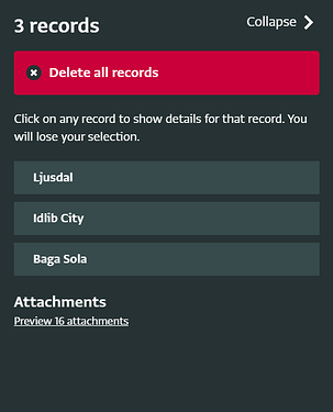 Or select multiple records to view their attachment