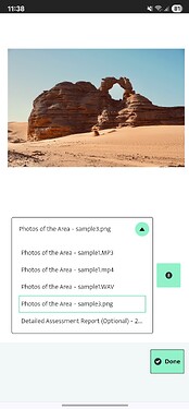 Attachment preview on mobile application
