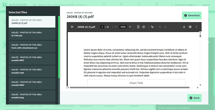 Attachment preview on web application